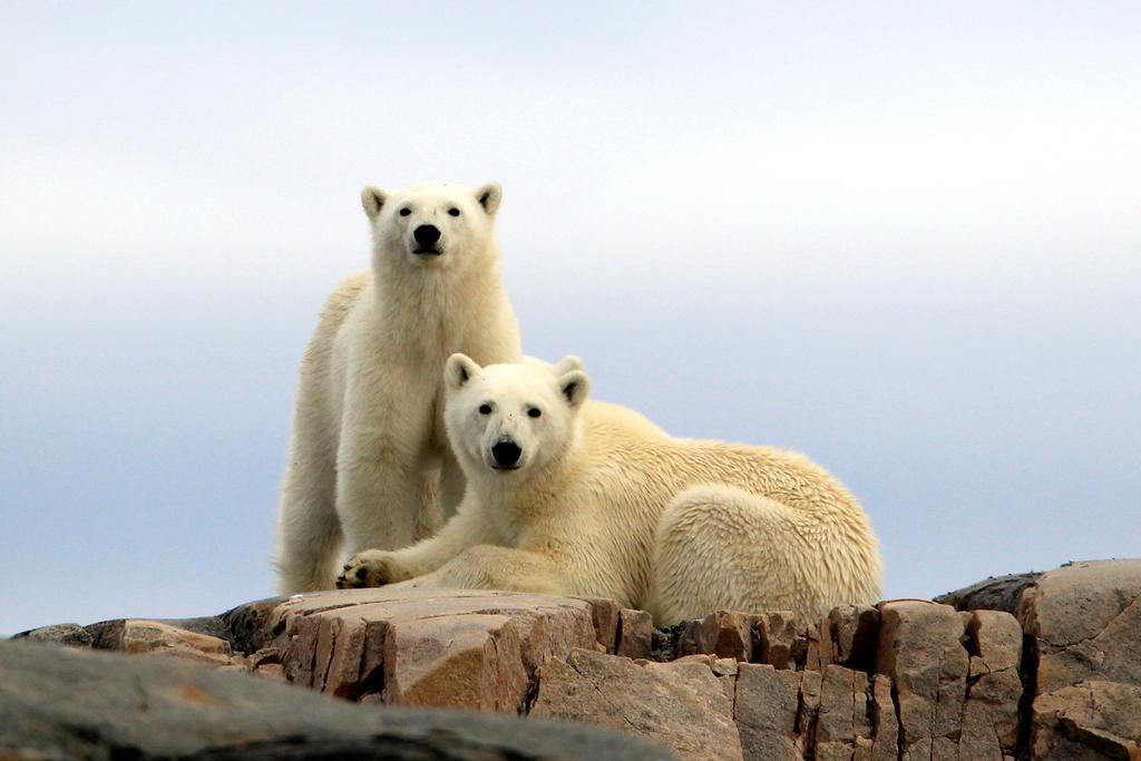 Radisson Blu Polar Hotel, Spitsbergen Longyearbyen Dış mekan fotoğraf
